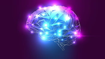 What is Noopept?