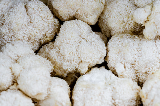 Lion's Mane: Nature's medicine